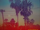Dogstar Somewhere Between The Power Lines And Palm Trees Signed Coloured Vinyl
