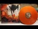 The Goo Goo Dolls Gutterflower RARE Orange Vinyl Big Machine Here is Gone OOP