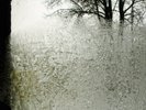 Bon Iver - For Emma Forever Ago vinyl LP NEW/SEALED IN STOCK