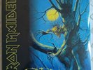 Fear of the Dark by Iron Maiden (Record, 2017)