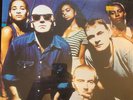 Stereo MC's - Connected 12