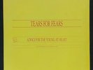TEARS FOR FEARS - Advice For The Young At Heart BRAZIL PROMO VINYL 12