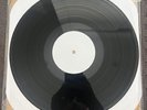 Riverdales - Tarantula LP Black TEST PRESS Screeching Weasel Ramones Nofx Blink