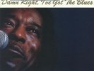 GUY, Buddy - Damn Right I've Got The Blues - Vinyl (LP)