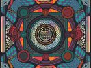 Live In Asheville - King Gizzard & the Lizard Wizard - Status Serigraph Sealed