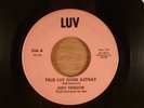 The Idols Joey Tedeschi/Ken Kerr True Luv Gone Astray/Haunted House RARE  Garage