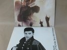 Prince and the Revolution - 2 x 12
