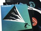 DJ Shadow - The Mountain Will Fall: Double 12