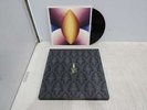 The Fame Monster -- Lady Gaga Loie Hollowell/GUCCI Special Edition Vinyl Record