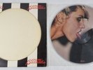 Blondie Parallel Lines Album Picture Disc Vinyl Record LP. 12