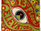 13TH FLOOR ELEVATORS-PSYCHEDELIC SOUNDS OF: STEREO ORIGINAL RARE