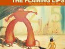 Yoshimi Battles the Pink Robots - Flaming Lips Vinyl