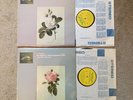 2xLP OLS 133 & OLS 134 BACH 6 suites unaccompanied cello JEAN-MAX CLEMENTS NM UK