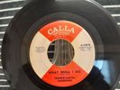 Frankie and The Classicals 