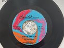 The Parliaments - Don't Be Sore At Me Resilot Records Original RV 211