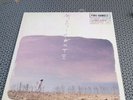 MUSICANTE PINO DANIELE LP VINYL 33 GIRI 1984 Prima edizione Ottimo