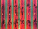 Len Faki - Fusion 8x12