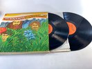 The Beach Boys - Endless Summer 1974 EX/VG+ Ultrasonic Clean Vintage Vinyl