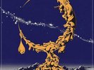 PIGS PIGS PIGS PIGS PIGS PIGS PIGS - LAND OF SLEEPER NEW VINYL