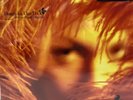 Stone Temple Pilots - Shangri-La Dee Da LP (2015) (180g) (Reissue) SEALED