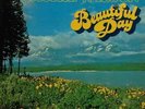 Jackie Wilson Beautiful Day NEAR MINT Brunswick Vinyl LP