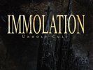 Immolation – Unholy Cult LP Picture Disc Vinyl - RARE LIMITED Death Metal Record