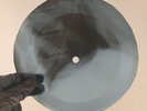 JOHNNY CASH DONT TAKE YOUR GUN X-Ray USSR Record Roentgen Bones Ribs Music Vinyl