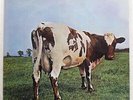 PINK FLOYD ATOM HEART MOTHER ODEON OP80102 JAPAN VINYL LP