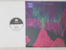 Dinosaur Jr. Give A Glimpse Of What Yer Not LP Black Vinyl Test Pressing NEW