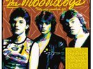 the moondogs  That's what friends are for vinyl lp  new sealed pre order 3/11/23