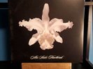 Aha Shake Heartbreak by Kings of Leon (Record)