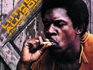 Luther Allison - Bad News Is Coming - (Vinyl, LP, Album, Promo) (Very Good Plus
