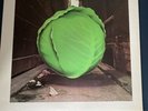 The Meters 'Cabbage Alley' Record Vinyl 12