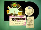 JOE STRUMMER SIGNED BACK STAGE TICKET VINYL 7