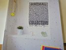 Animal Collective Live At 9:30 Club 3xLP Box Set