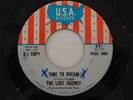 THE LOST AGENCY TIME TO DREAM INSANELY RARE 1967 CHICAGO NUGGETS GARAGE FUZZ 45