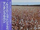 Marion Brown November Cotton Flower + INSERT NEAR MINT Baystate Vinyl LP