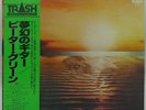 PETER GREEN 'Little Dreamer' 1980 Japan white-label promotional vinyl LP w/OBI