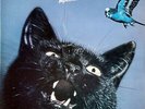 Budgie - Impeckable (LP, Album)
