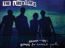 Anthems for Doomed Youth by The Libertines (Record, 2015) vinyl