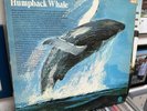 Songs Of The Humpback Whale 1970 Original Vinyl LP  EX