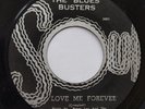 The Blues Busters 
