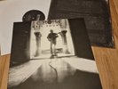 Neil Young Le Noise Vinyl LP