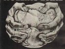 Rollins Band Life Time NEAR MINT Fundamental Vinyl LP