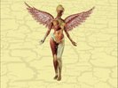 Nirvana In Utero (Vinyl) Super Deluxe / 8LP