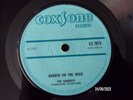 JEFF DIXSON - THE ROCK  ( ROCKSTEADY)  45