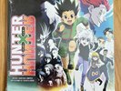 Hunter x Hunter Anime Vinyl Soundtrack Gon Green Transparent Swirl NEW Tiger Lab