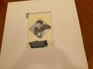 The Questions - Belief 12” LP Album Vinyl MINT Paul Weller Respond Records