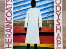THE RAINCOATS = Odyshape LP Rough 13 1st press (indie alt lo fi)