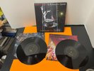 Panic  At The Disco All My Friends Were Glorious  RECORD LIVE